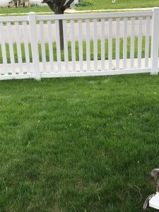 Bottle Cove Contracting picket vinyl fence project